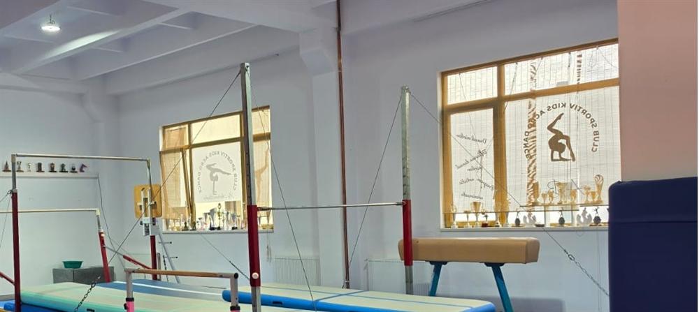 Aparate profesionale de gimnastică