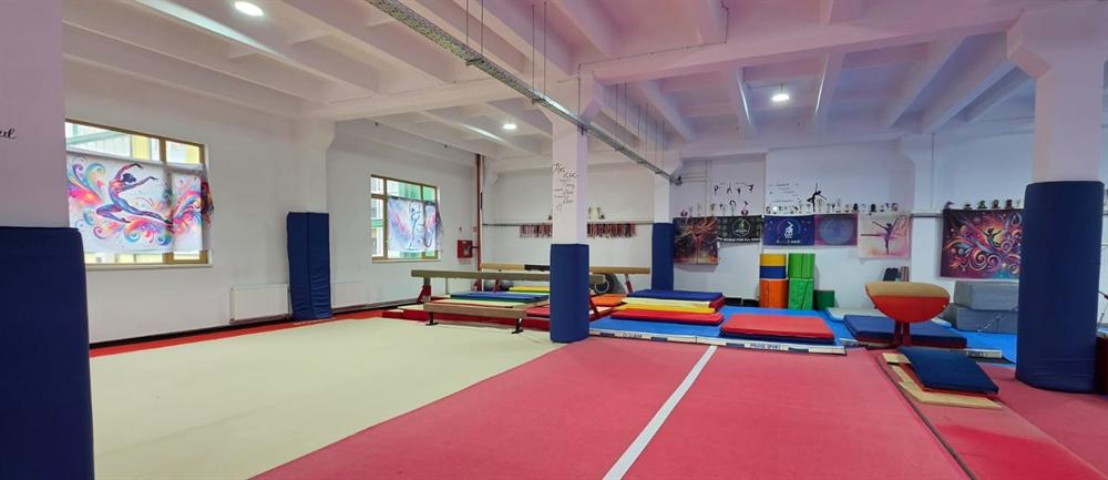 Inițiere gimnastică și acrobatică